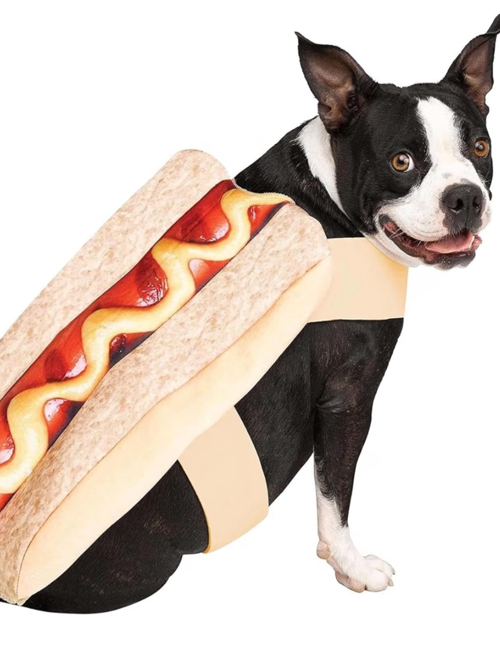 Fun World Paw Prints "Hot Dawg" Pet Costume 🐾🌭